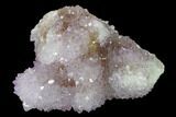 Cactus Quartz (Amethyst) Crystal Cluster - South Africa #137769-1